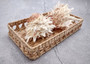 White Pink Spiny Oyster Seashell Pair Spondylus Barbatus (1 shell pair approx. 3.25+ inches) B GRADE Spiny Oyster Shell for decor & display! Copyright 2025 SeaShellSupply.com.