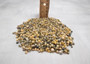 Green Yellow Mongo Seashells Smaragdia Rangiana (Approx. HALF cup 1750+ shells 0.125+ inches) Assorted Mongo Shell for crafts & jewelry! Copyright 2025 SeaShellSupply.com.
