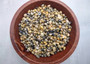 Green Yellow Mongo Seashells Smaragdia Rangiana (Approx. HALF cup 1750+ shells 0.125+ inches) Assorted Mongo Shell for crafts & jewelry! Copyright 2025 SeaShellSupply.com.