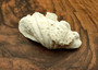 Derasa Clam Seashell Half White Tridacna Derasa (1 shell HALF approx. 5+ inches) Medium Derasa Clam Shell HALF for art crafts & display! Copyright 2025 SeaShellSupply.com.