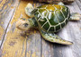 Green Sea Turtle Figurine Painted Resin (1 turtle approx. 5+ inches long) Green Painted Resin Sea Turtle Figure for coastal home decor! Copyright 2025 SeaShellSupply.com.
