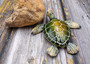 Green Sea Turtle Figurine Painted Resin (1 turtle approx. 5+ inches long) Green Painted Resin Sea Turtle Figure for coastal home decor! Copyright 2025 SeaShellSupply.com.