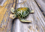 Green Sea Turtle Figurine Painted Resin (1 turtle approx. 5+ inches long) Green Painted Resin Sea Turtle Figure for coastal home decor!