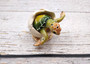 Green Baby Sea Turtle Hatching Figure (1 turtle approx. 3+ inches) Green Painted Resin Baby Turtle Egg Figure for coastal home décor!