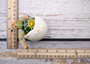 Green Baby Sea Turtle Hatching Figure (1 turtle approx. 3+ inches) Green Painted Resin Baby Turtle Egg Figure for coastal home décor!