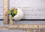 Green Baby Sea Turtle Hatching Figure (1 turtle approx. 3+ inches) Green Painted Resin Baby Turtle Egg Figure for coastal home decor! Copyright 2025 SeaShellSupply.com.