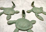 Cast Iron Green Patina Sea Turtle Wall Hook (1 cast iron hook approx. 6+ inches) Verdigris Sea Turtle Wall Hanger for coastal home decor!