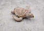 Brown Sea Turtle Figurine Weathered Resin (1 turtle approx. 3.75+ inches) Brown White Sea Turtle Statue for beach home decor & display!