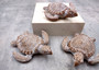 Brown Sea Turtle Figurine Weathered Resin (1 turtle approx. 3.75+ inches) Brown White Sea Turtle Statue for beach home decor & display!