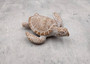 Brown Sea Turtle Figurine Weathered Resin (1 turtle approx. 3.75+ inches) Brown White Sea Turtle Statue for beach home decor & display! Copyright 2025 SeaShellSupply.com.