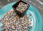 Zebra Nerite Seashells Black White Neritina Pulligera (approx. half cup 850 shells 0.25+ inches) Zebra Striped Nerite Shells for jewelry!