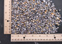 Zebra Nerite Seashells Black White Stripes (approx. half cup +/-850 shells 0.25+ inches) Striped Vitta Zebra Nerite shells for jewelry & art