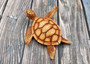 Sea Turtle Figurine Brown Wood Style (1 turtle approx. 5+ inches) Resin Sea Turtle Figure for coastal beach home display & decoration! Copyright 2025 SeaShellSupply.com.
