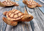 Sea Turtle Figurine Brown Wood Style (1 turtle approx. 5+ inches) Resin Sea Turtle Figure for coastal beach home display & decoration! Copyright 2025 SeaShellSupply.com.
