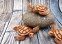 Sea Turtle Figurine Brown Wood Style (1 turtle approx. 5+ inches) Resin Sea Turtle Figure for coastal beach home display & decoration!