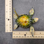 Green Resin Sea Turtle Christmas Ornament (1 turtle approx. 4+ inches) Green Resin Sea Turtle Figure for holiday decor & celebrations! Copyright 2025 SeaShellSupply.com.