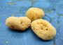Natural Yellow Sea Sponges Axinyssa Sea Sponge (5 sponges approx. 2.25+ inches) Safe Real Sea Sponges for exfoliating painting & cleaning! Copyright 2025 SeaShellSupply.com.
