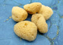 Natural Yellow Sea Sponges Axinyssa Sea Sponge (5 sponges approx. 2.25+ inches) Safe Real Sea Sponges for exfoliating painting & cleaning! Copyright 2025 SeaShellSupply.com.