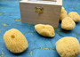 Natural Yellow Sea Sponges Axinyssa Sea Sponge (5 sponges approx. 2.25+ inches) Safe Real Sea Sponges for exfoliating painting & cleaning! Copyright 2025 SeaShellSupply.com.