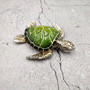 Silver Green Sea Turtle Resin Painted Figurine (1 turtle approx. 3+ inches) Resin Silver Green Sea Turtle Figure for gifting & display! Copyright 2025 SeaShellSupply.com.