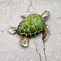 Silver Green Sea Turtle Resin Painted Figurine (1 turtle approx. 3+ inches) Resin Silver Green Sea Turtle Figure for gifting & display! Copyright 2025 SeaShellSupply.com.