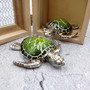 Silver Green Sea Turtle Resin Painted Figurine (1 turtle approx. 3+ inches) Resin Silver Green Sea Turtle Figure for gifting & display! Copyright 2025 SeaShellSupply.com.