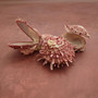 Pink Spiny Oyster Seashell Pair Spondylus Barbatus (1 shell pair approx. 2.25+ inches) B GRADE Rosy Thorny Oyster Shells for coastal decor!