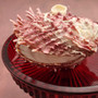 Pink Spiny Oyster Seashell Pair Spondylus Barbatus (1 shell pair approx. 2.25+ inches) B GRADE Rosy Thorny Oyster Shells for coastal decor!