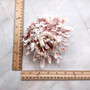 Large Spiny Oyster Seashell Pair Orange White Spondylus Barbatus (1 shell pair approx. 5+ inches) Thorny Oyster Shell for decor & display!  Copyright 2025 SeaShellSupply.com.
