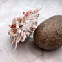 Large Spiny Oyster Seashell Pair Orange White Spondylus Barbatus (1 shell pair approx. 5+ inches) Thorny Oyster Shell for decor & display!  Copyright 2025 SeaShellSupply.com.
