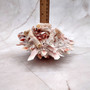 Large Spiny Oyster Seashell Pair Orange White Spondylus Barbatus (1 shell pair approx. 5+ inches) Thorny Oyster Shell for decor & display!  Copyright 2025 SeaShellSupply.com.
