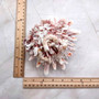 Large Spiny Oyster Seashell Pair Orange White Spondylus Barbatus (1 shell pair approx. 5+ inches) Thorny Oyster Shell for decor & display!  Copyright 2025 SeaShellSupply.com.\n