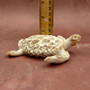White Sea Turtle Tan Coral Shell Figurine (1 figure approx. 4+ inches) Rough White Tan Sea Turtle Statuette for decor gifts & collecting!