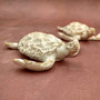 White Sea Turtle Tan Coral Shell Figurine (1 figure approx. 4+ inches) Rough White Tan Sea Turtle Statuette for decor gifts & collecting! Copyright 2025 SeaShellSupply.com.\n