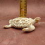 White Sea Turtle Tan Coral Shell Figurine (1 figure approx. 4+ inches) Rough White Tan Sea Turtle Statuette for decor gifts & collecting!