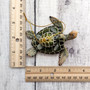 Green Mother Baby Sea Turtle Christmas Ornament Resin (1 turtle approx. 3.5+ inches) Green Resin Sea Turtle Pair Figure for holiday décor! Copyright 2025 SeaShellSupply.com.