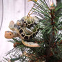 Green Mother Baby Sea Turtle Christmas Ornament Resin (1 turtle approx. 3.5+ inches) Green Resin Sea Turtle Pair Figure for holiday décor! Copyright 2025 SeaShellSupply.com.