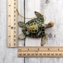 Green Mother Baby Sea Turtle Christmas Ornament Resin (1 turtle approx. 3.5+ inches) Green Resin Sea Turtle Pair Figure for holiday décor!