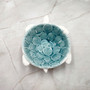 Sea Turtle Light Blue White Bowl (1 dish approx. 5.5+ inches) Blue White Sea Turtle Ceramic Dish for gifting jewelry trinkets & candy! Copyright 2025 SeaShellSupply.com.