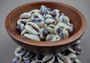 Purple Top Cowrie Seashells (appx. 47-50 pcs.) - Cypraea Annulus. Multiple purple and white ombre shells in pile. Copyright 2024 SeaShellSupply.com.