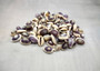 Purple Top Cowrie Seashells Bulk Cypraea Annulus (approx. half cup +/-45 shells 0.5+ inches) Purple Top Cowry shells for crafts & jewelry!