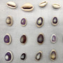 Purple Top Cowrie Seashells Bulk Cypraea Annulus (approx. half cup +/-45 shells 0.5+ inches) Purple Top Cowry shells for crafts & jewelry!