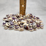 Purple Top Cowrie Seashells (appx. 47-50 pcs.) - Cypraea Annulus. Multiple purple and white ombre shells in pile. Copyright 2024 SeaShellSupply.com.