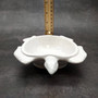 Sea Turtle Glossy White Ceramic Plate (1 dish approx. 6.75+ inches wide) White Turtle Dish for coastal table display & nautical decor! Copyright 2025 SeaShellSupply.com.