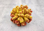 Yellow Rose FAUX Cluster Coral Pocillopora Elegans (1 FAKE Coral approx. 5Wx3Dx4T) Yellow Rose FAUX Cluster Coral for fish tank display!