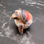 Sea Turtle Egg Hatchling Red Shell (1 sea turtle approx. 2+ inches) Red Painted Resin Baby Sea Turtle Egg Figure for coastal home décor! Copyright 2025 SeaShellSupply.com.