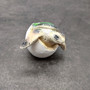 Sea Turtle Egg Hatchling Green Shell (1 sea turtle approx. 2+ inches) Green Painted Resin Baby Sea Turtle Egg for coastal home décor!