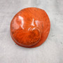 Polished Orange Midas Abalone Seashell Haliotis Midae (1 set of 5 approx. 5+ inches) B GRADE Orange Abalone Shells for crafts & collecting! Copyright 2025 SeaShellSupply.com