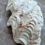 Derasa Clam Seashell Half White Tridacna Derasa (1 shell approx. 8+ inches) Big Derasa Clam Shells for dish decor centerpieces & display! 02