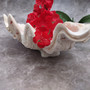 Derasa Clam Seashell Half White Tridacna Derasa (1 shell approx. 8+ inches) Big Derasa Clam Shells for dish decor centerpieces & display! 02